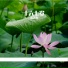 宋艺哲