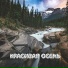 Сергей Грищук