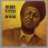 Muddy Waters