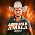 Luiz Paullo Forrozão
