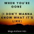 Mega Anthem Hitz