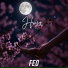 FEO
