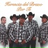 Herencia del bravo