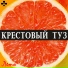 гр. Крестовый Туз