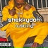 Shekkydon