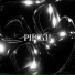 THEPERFECT1