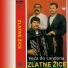 Zlatne Zice