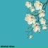 Vladivan