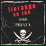 Sonido Pirata