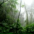 Rain Recorders, The Sleep Helpers, Namaste Yoga