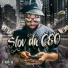 Stov Da CEO