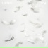 Puer Kim