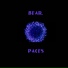 bear.