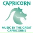 Tasmanian Symphony Orchestra, Shalom Ronly-Riklis
