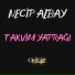 Necip Albay