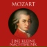 Alexander von Pitamic, Camerata Labacensis