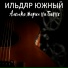 Ильдар Южный