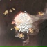 王雨桐