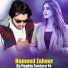 Hameed Zaheer