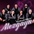 Mezgaya