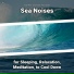 Ocean Waves, Ocean Sounds, Nature Sounds