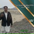Sana Farhad