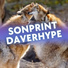 Sonprint Daverhype
