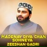 Zeeshan Qadri