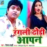 Vinod Bedardi