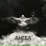 Женя Зарок(Caffeineproduction)