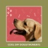 Relaxing Dog Music