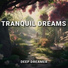 Deep Dreamer