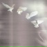 Limerance
