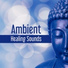 Relaxation, Meditation, Yoga Music
