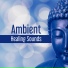 Relaxation, Meditation, Yoga Music