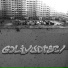 GOLIVUDTSEV