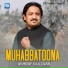 Ashraf Gulzaar