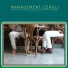 MANAGEMENT DEL DOLORE POST-OPERATORIO, Ceroli