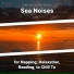 Sea Waves Sounds, Ocean Sounds, Nature Sounds