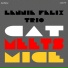 Lennie Felix Trio