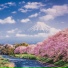 Takoto