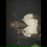 FreeTheGod, DWSN