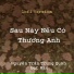 Thưởng Thỏ, Nguyễn Trần Trung Quân