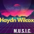 Haydn Wilcox