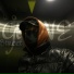 RAY REIZAR