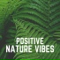 Nature Calm