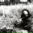 Mat Walerian, Matthew Shipp, Hamid Drake
