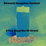 Advanced Encryption Standard