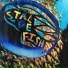 Stalefish