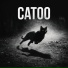 Catoo